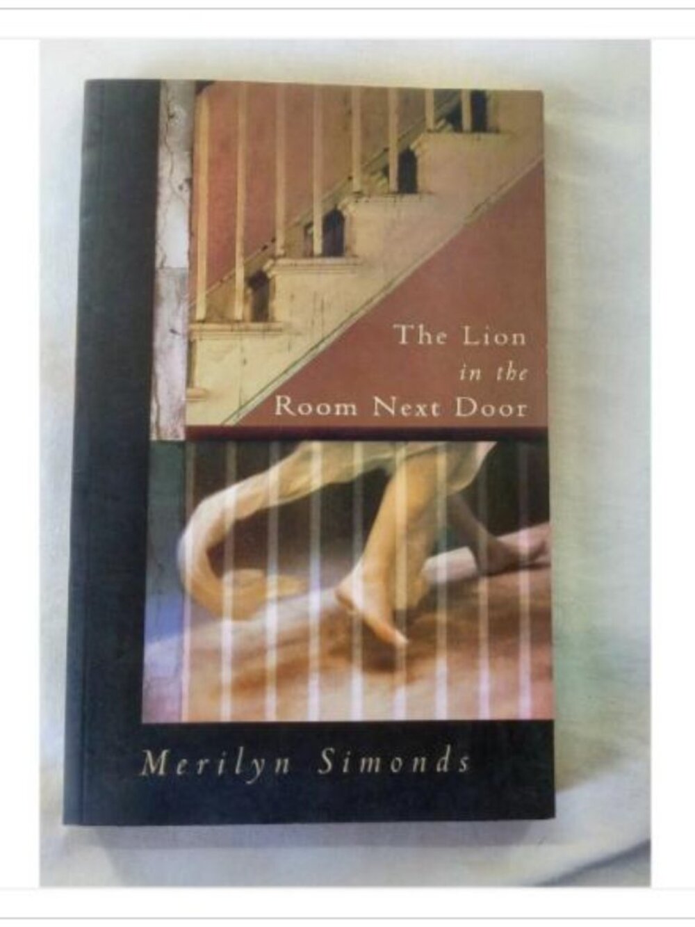 The Lion in the Room Next Door Merilyn Simonds 2000 Trade Paperback Edition